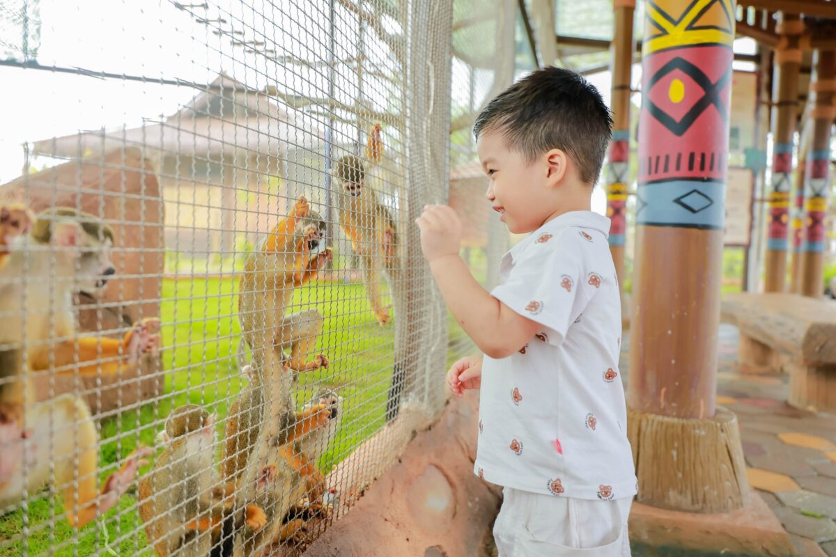 Vườn thú trong giá vé VinWonders Vũ Yên