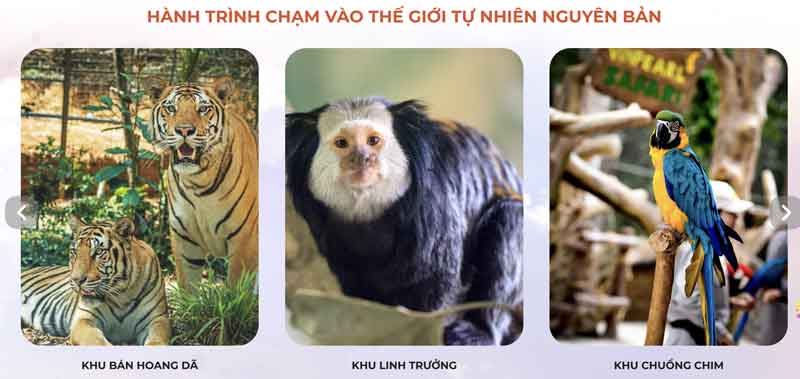 Kinh nghiệm đi và sử dụng vé Vinpearl Safari Phú Quốc từ A đến Z