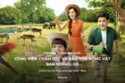 Vé Vinpearl Safari Phú Quốc 2026: Bảng Giá Mới Nhất & Cách Mua Rẻ